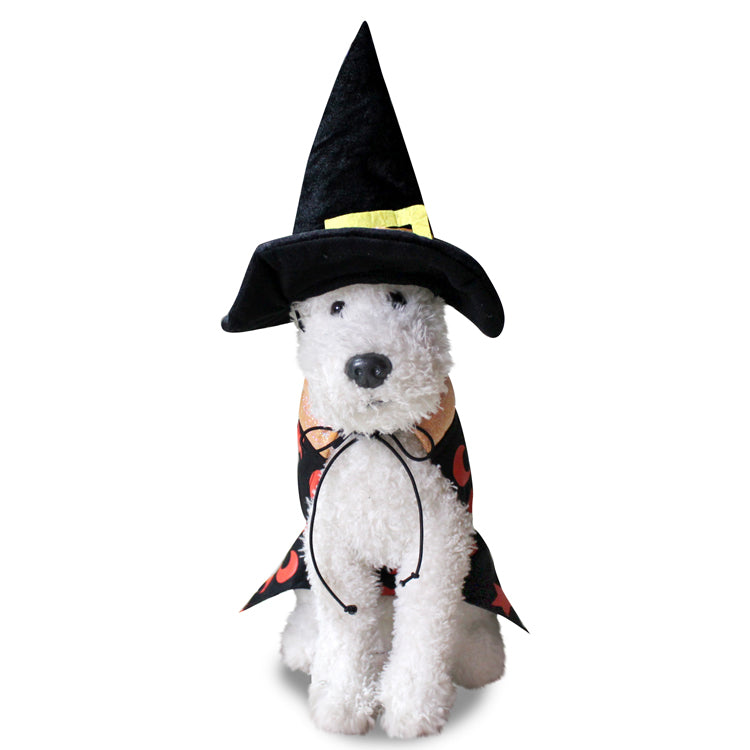 Dog Halloween Costume Dog Witch Hat Resting Witch Face Dog Costume Dog Halloween Dress Dog Witch Costume